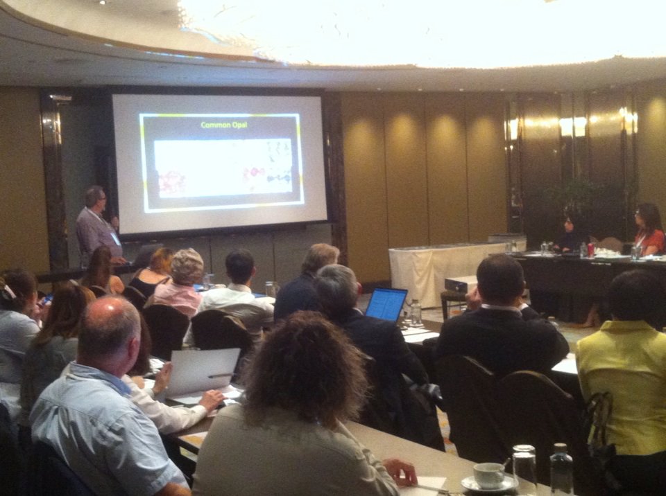 Presentation about opals at CIBJO meetings in Bangkok before the annual congress (Nov 5-7) <a href="/CIBJO_/">CIBJO</a> #opals