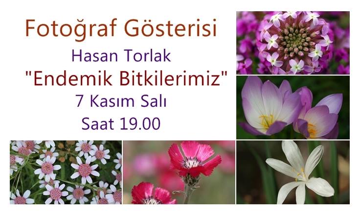 tempoturizm's tweet photo. Tempo Tur'da Hasan Torlak'ın Endemik Bitkilerimiz fotoğraf gösterimi 07 Kasım Salı  saat 19:00'da ofisimizde.  https://t.co/sJThoyNKpp https://t.co/5u1cteG13i