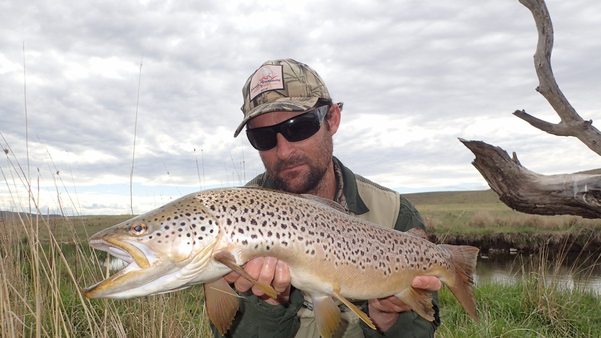 Messiah Fishing tweet media