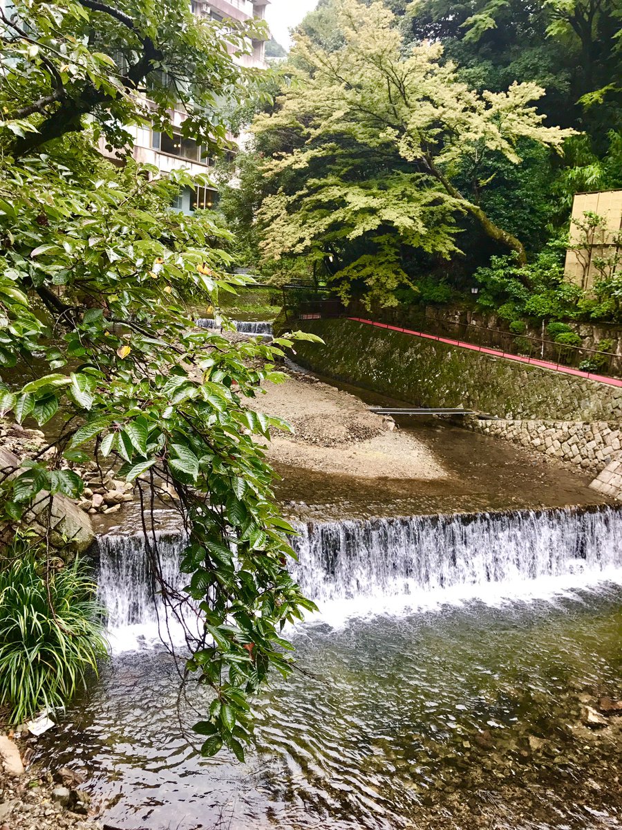 秋晴れのいいお天気やったね
       ꕤ ｵﾂｶﾚｻﾏꕤ ٩(ｏ'∀'ｏ)و

急にバタバタと
新たな地へ引越し準備に
更にあたふたしてますっ(ฅฅ*)💦

落ち着きましたら
ぼちぼち
おじゃまさせて下さいね
     
いつもありがとう
       深呼吸𓂃 𓈒𓏸𑁍