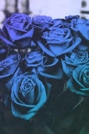 Flower___74's tweet photo. جميله‍ انت گ ورد الملوگ لآ يقطف الا للأميرات😍😍😍😍❤❤❤❤❤❤❤🙈🙈🙈🙈 https://t.co/2OUgjiCjWJ
