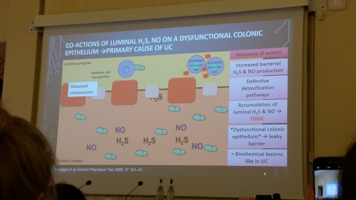 Great talk by Dr Yao on how hydrogen sulfide could cause ulcerative colitis. #gastrodiet2017