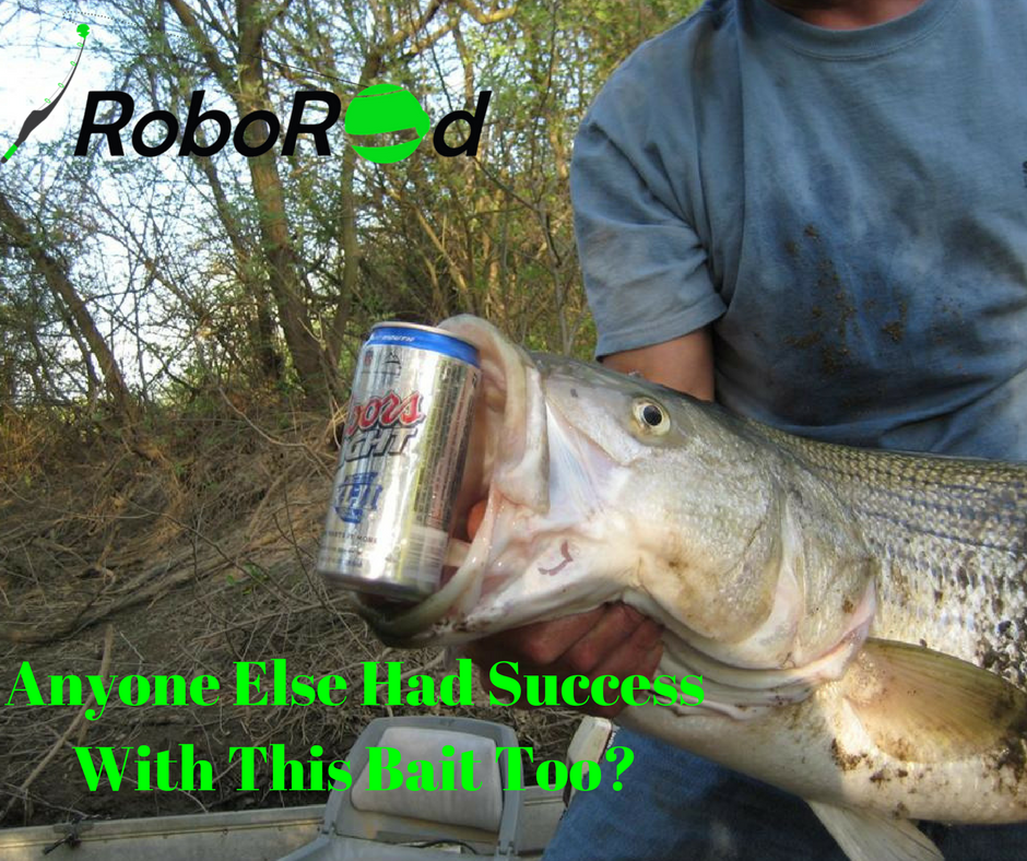 Roborod23's tweet photo. Why not try some new bait this weekend? If we like it they might too :D https://t.co/IVJtFIJfcH