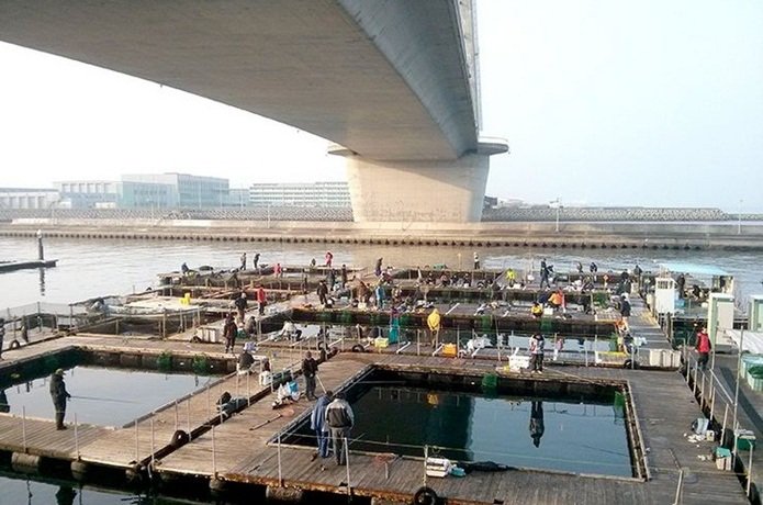 大阪で釣りしてみませんか お手軽釣りスポットをご紹介 民泊 旅行 観光情報サイト Do Yeah
