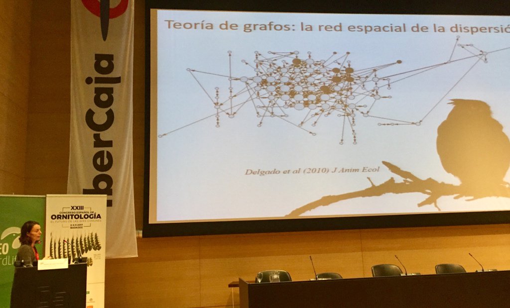 pedro_jordano's tweet photo. Ma Mar Delgado: redes complejas para entender cómo se mueven las aves #CONaves @SEO_BirdLife https://t.co/znK5XlkAgT