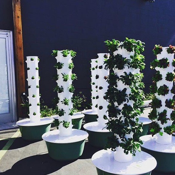 Odyseed's tweet photo. Do you plan on extending your growing season with a greenhouse? https://t.co/8xY35gNVez