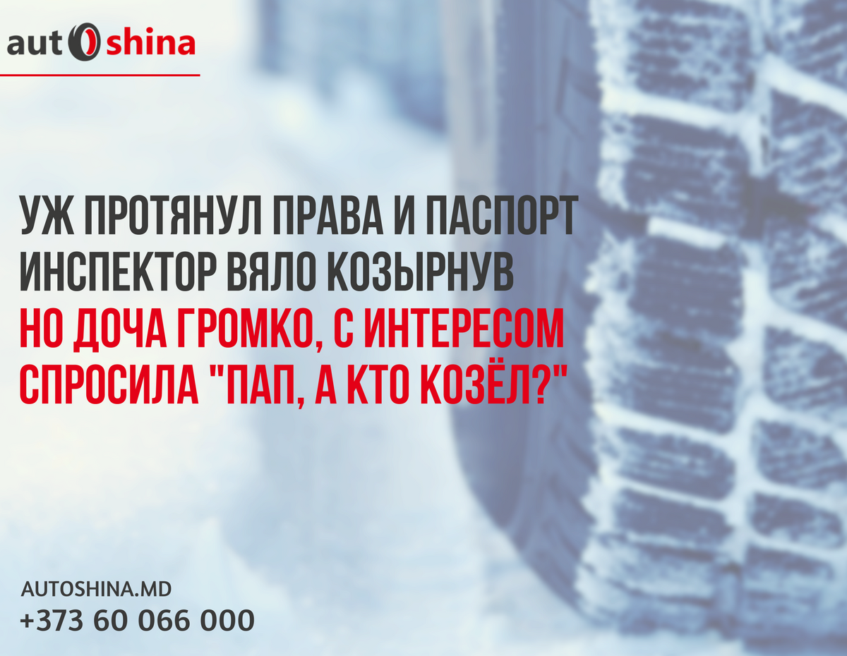 AutoShina's tweet image. 