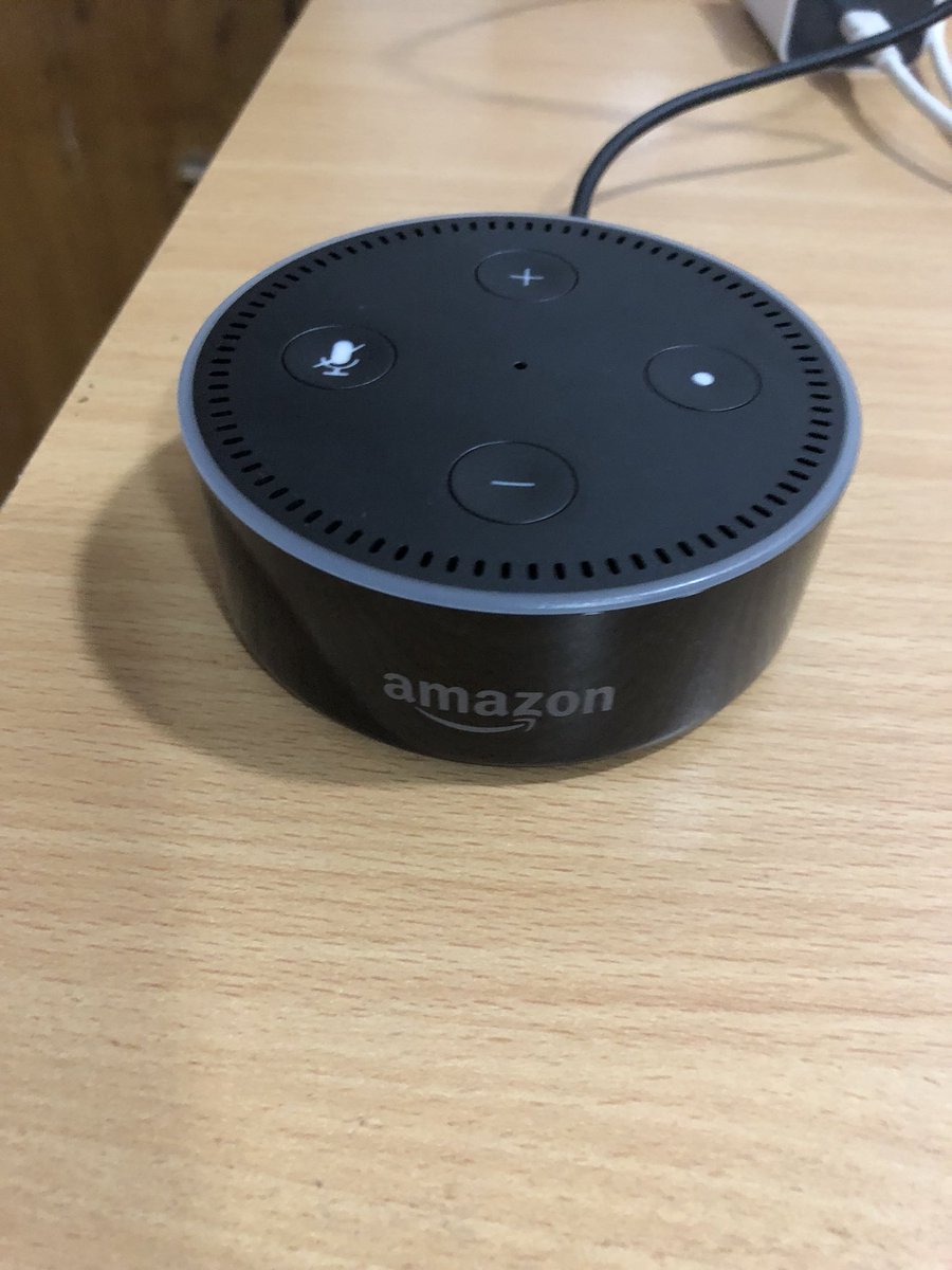 bose revolve echo dot
