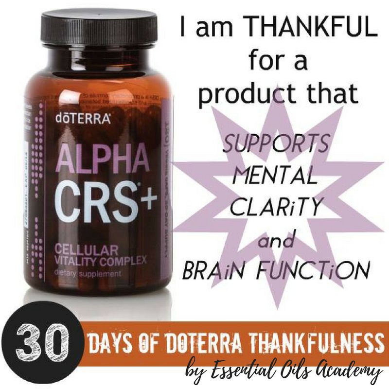 JanicedoTERRART's tweet image. Alpha CRS Cellular Vitality Complex supports healthy #cellfunction with important metabolic factors of #cellularenergy.