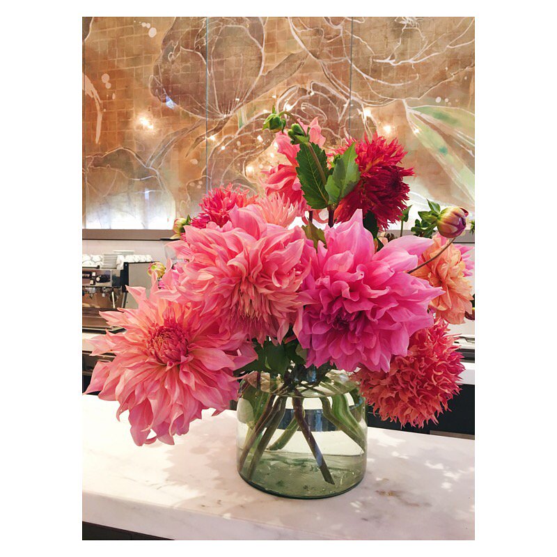 Who needs fireworks this Bonfire Night when you have flowers this vivid from <a href="/fernverrow/">fernverrow</a>