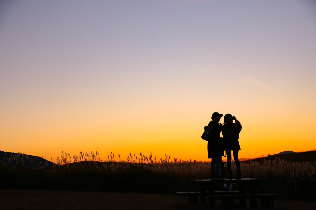 ヨシカイ 曽爾高原 夕焼け 逆光 Sigma135art