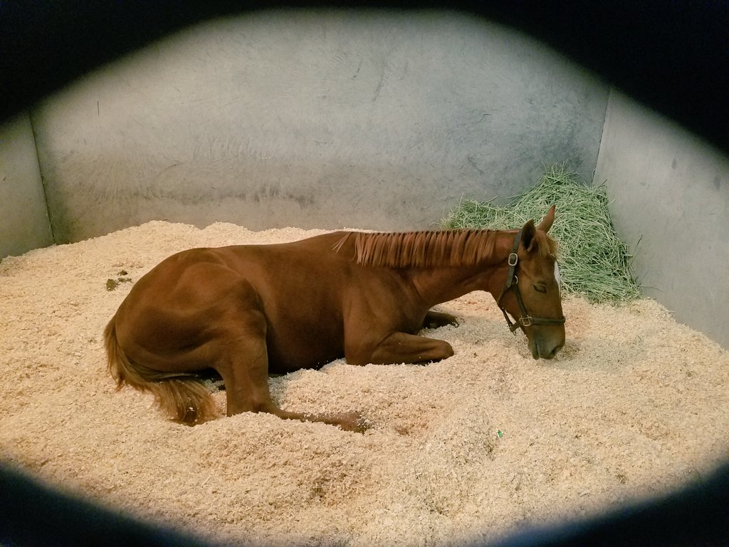 BluewaterSales's tweet photo. Best to get a nap in before the weekend rush
#FTNov #Hip40 https://t.co/MfpcO45ZhQ
