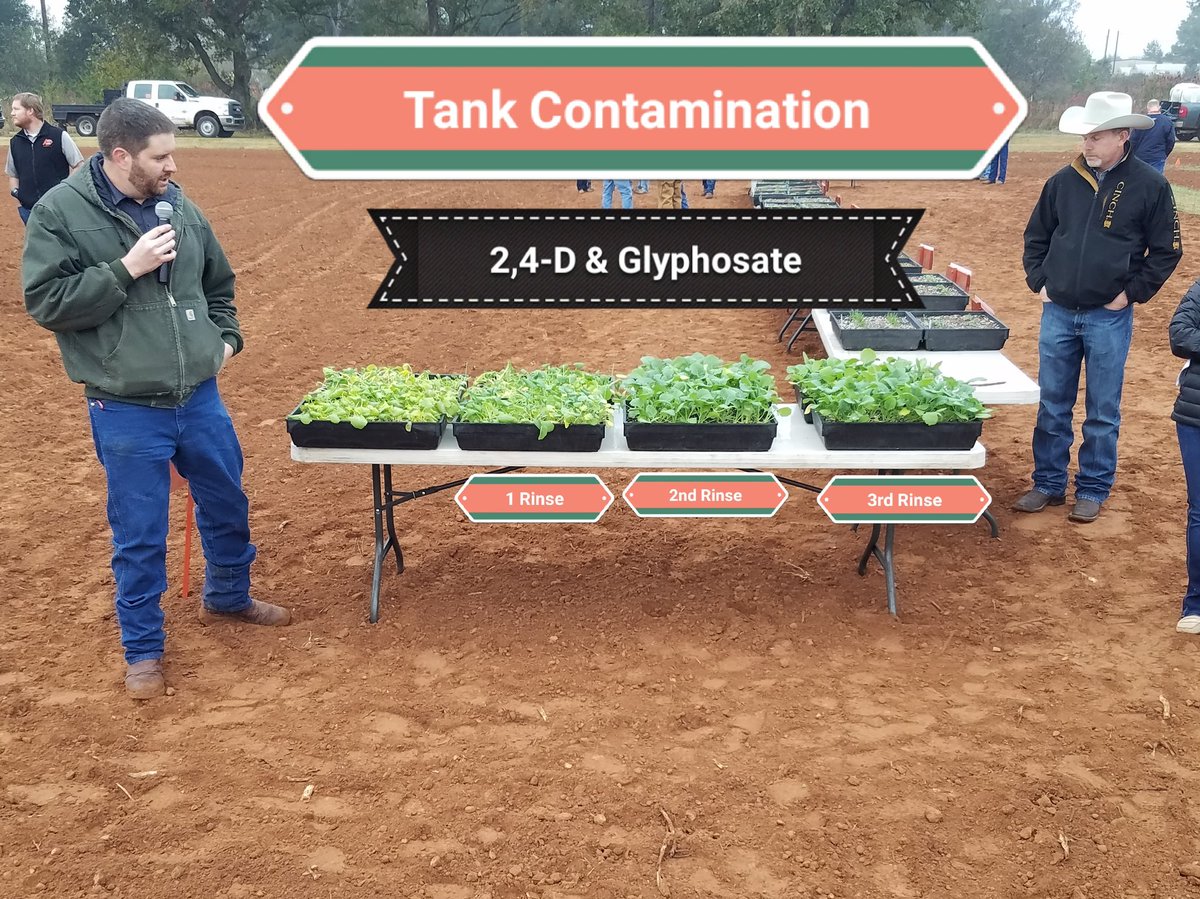 Tallokie_67's tweet photo. @OSUAgEngr demonstrates how important spray tank clean-out is for crop safety. Canola is very sensitive to 2,4-D. https://t.co/lNpQZk9mOL