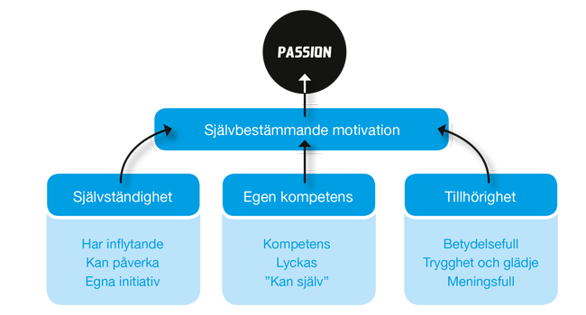 PerraWiden's tweet photo. Hjälp unga spelare till passion för ⚽️
-spelarna väljer en övning på trän 
-bekräfta spelarnas kompetens
-beröm en bra prestation inför alla https://t.co/TYaLcTSFsd