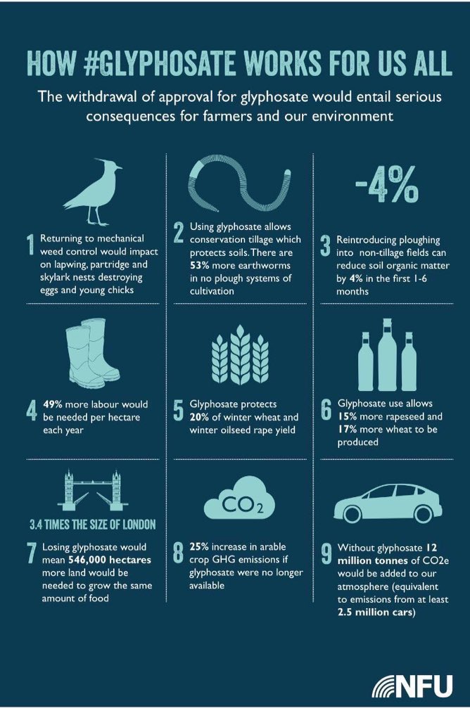 Gavin Whitmore tweet media