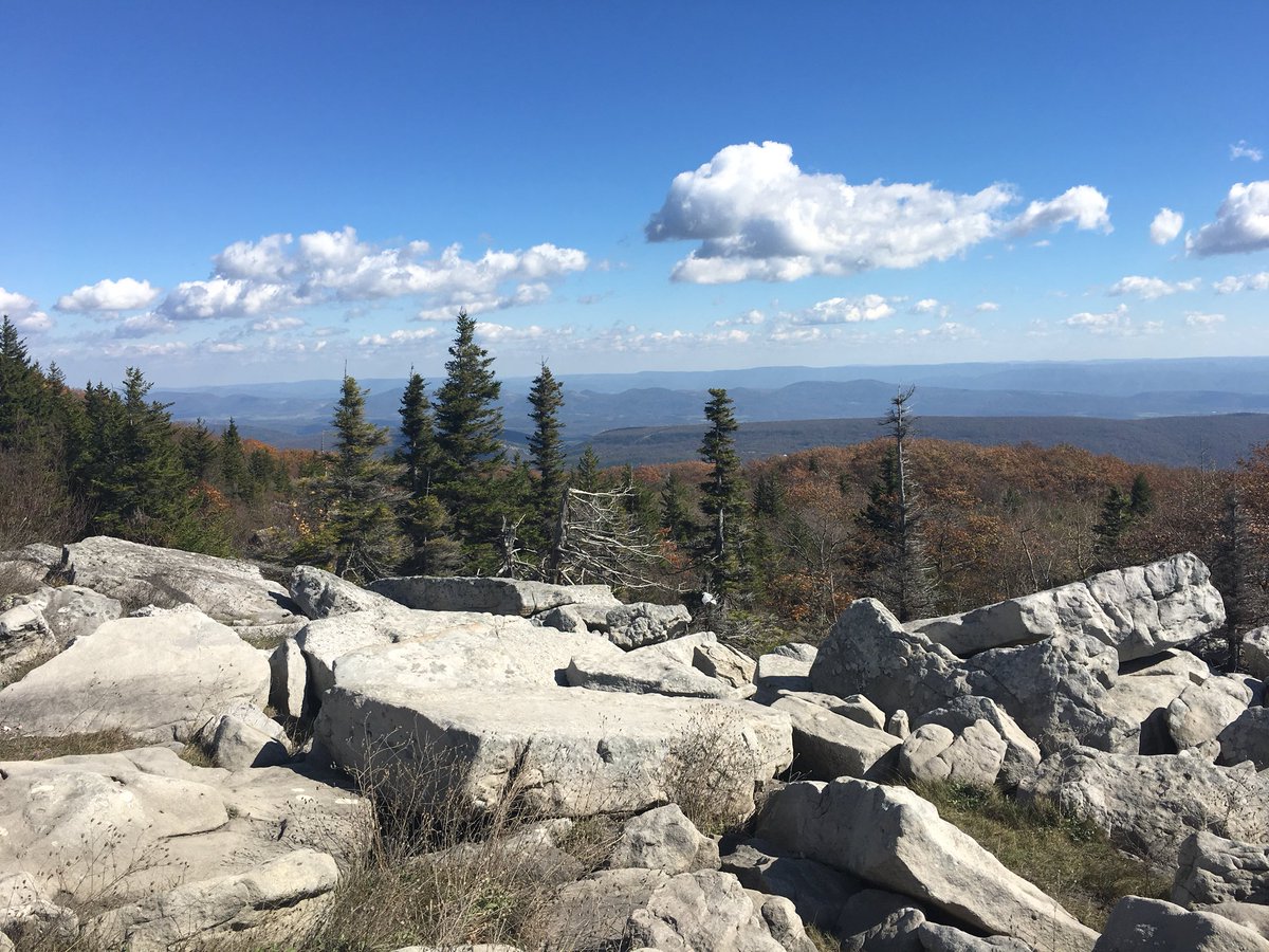 AuthorSLBaron's tweet photo. #WestVirginia trending?!? Iโm getting in on that! #DollySods #WildWonderful #TheMountainState https://t.co/OP4ez1TaXb