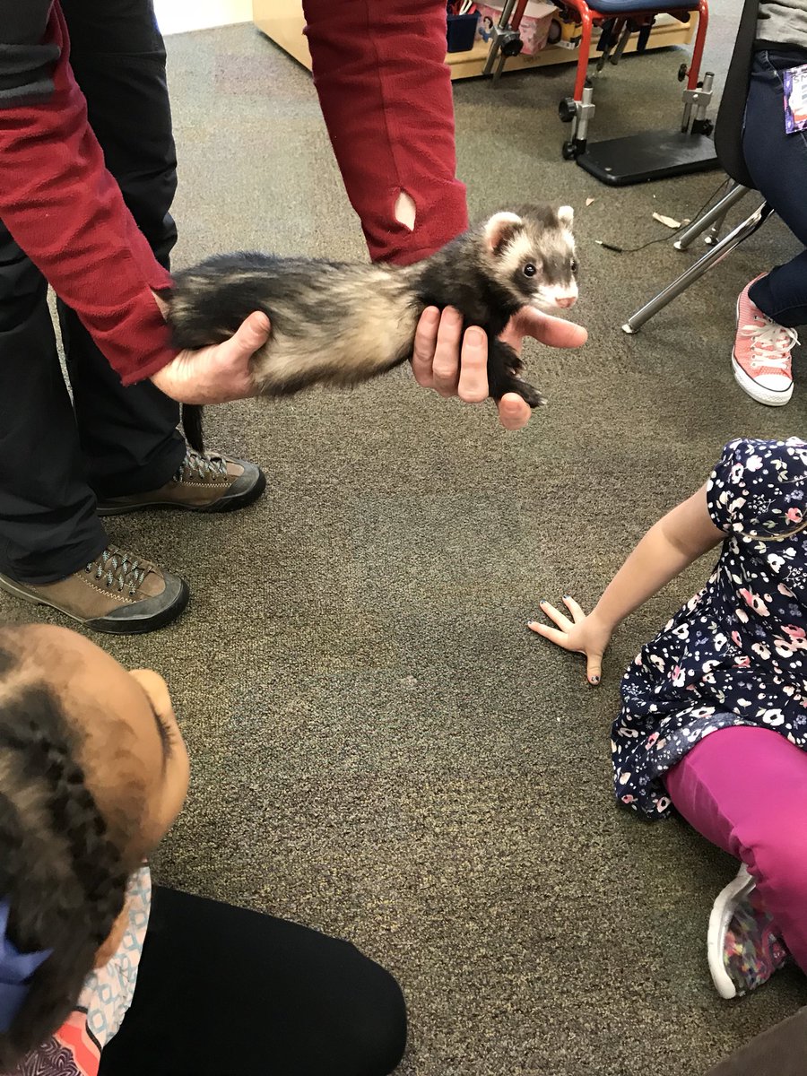 intheKDallmanMP's tweet photo. Learning about nature! Always a joyful day! @intheKatMP @DrSpringer12301 @PrincipalDruen @theSMSD https://t.co/0iX2zt7soX