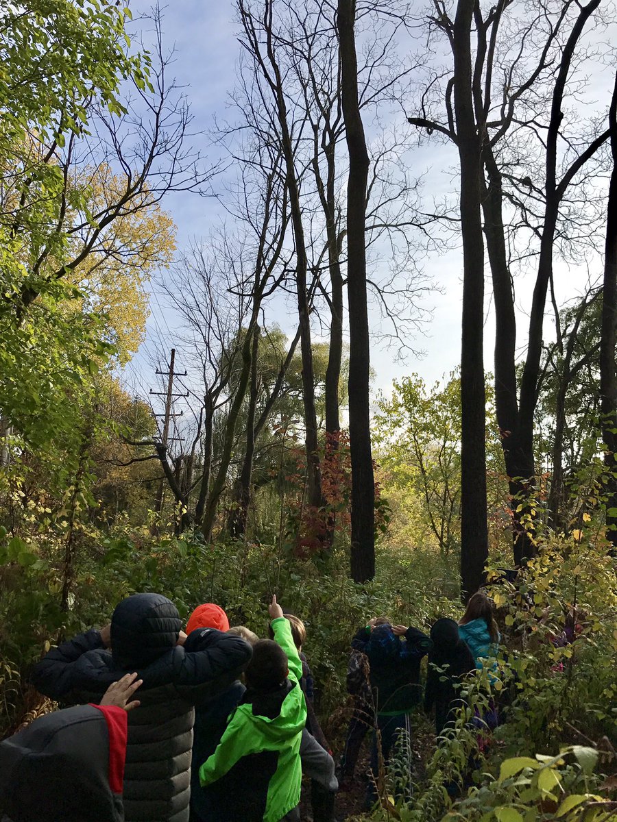 msyip_'s tweet photo. Our scientists are searching for signs of life in the Thurston Nature Center with @salmj1st  @a2Thurston https://t.co/4hehD5Cp1V