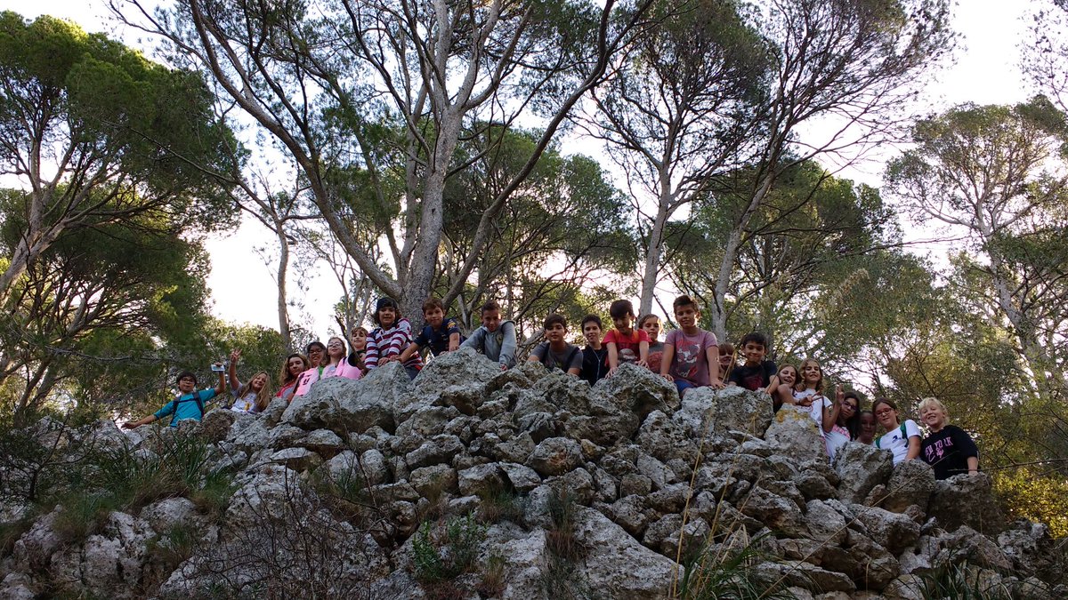 CEIPPareBPou's tweet photo. Sortida interdisciplinar 6è #ComunaBunyola.Act.física per la natura i coneixement d l'entorn natural #forndecalç #avenc #sitja #aljub #flora https://t.co/9tCcwQvToI