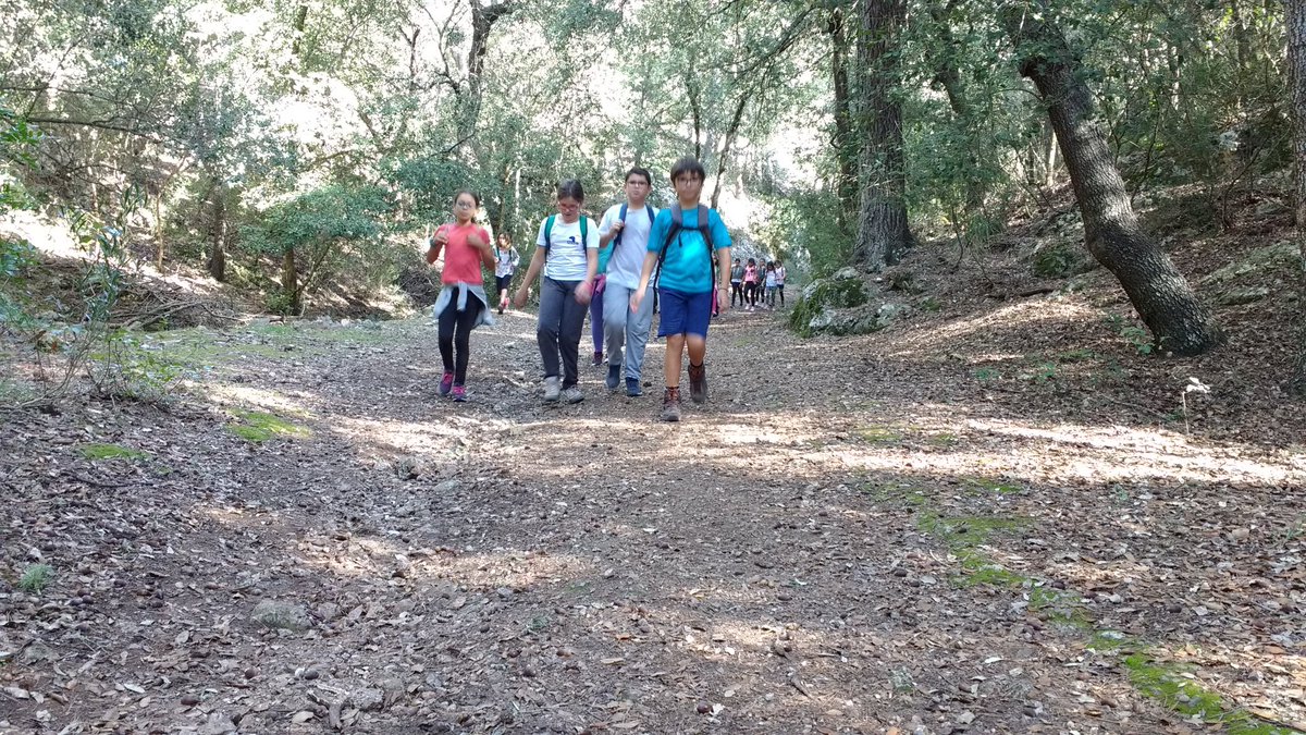 CEIPPareBPou's tweet photo. Sortida interdisciplinar 6è #ComunaBunyola.Act.física per la natura i coneixement d l'entorn natural #forndecalç #avenc #sitja #aljub #flora https://t.co/9tCcwQvToI
