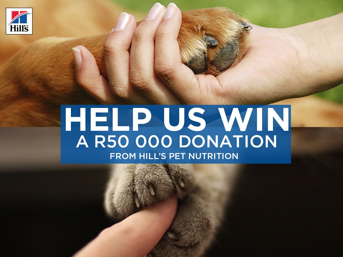 dargdays's tweet image. Share your pet’s Hill’s story and @dargdays could win on HillsTransformingLives.co.za #HillsLovesShelters   @HillsPetSA