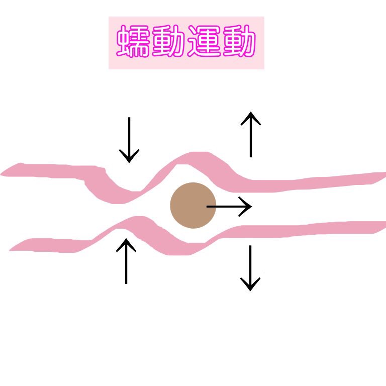 ちゅん Sex研究家 Chunta Human Twitter
