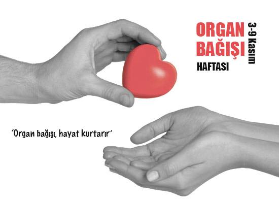 Candan olsun bağışımız can olsun. Aramızda organik bir bağ olsun. 
Bir organ, iki can..
#OrganBağışıHaftası