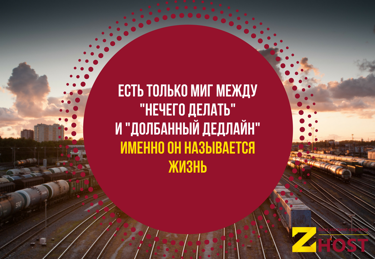 zhostmd's tweet image. 