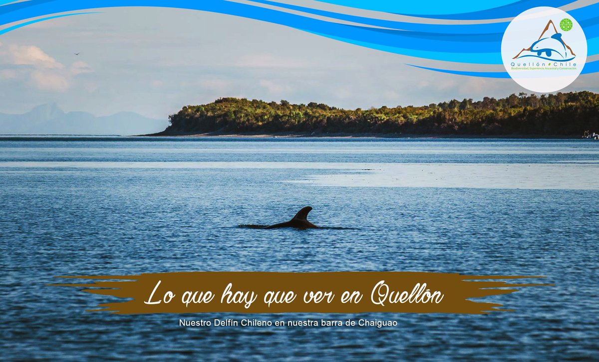 QuellonTurismo's tweet photo. Vive el Turismo en Quellón - Chiloé, Junto a nuestra Naturaleza, Biodiversidad, Pueblos Ancestrales y Belleza Escenica, @AlcaldeQuellon https://t.co/LXs8DOyzUR
