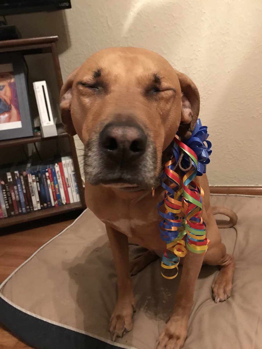 queerriotgrrl's tweet photo. When your mom makes you celebrate your birthday before she goes to work #happybirthdaymongo https://t.co/dg5fkjyYtp