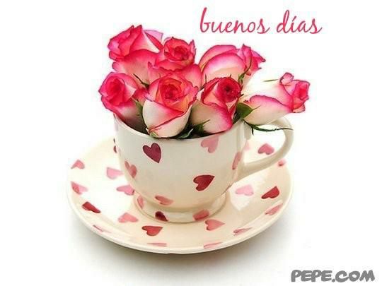 admenes's tweet photo. @montse131958 Lindo viernes para uste..... pase un exelente fin de semana.... saludos https://t.co/sFSrZ8QFKv