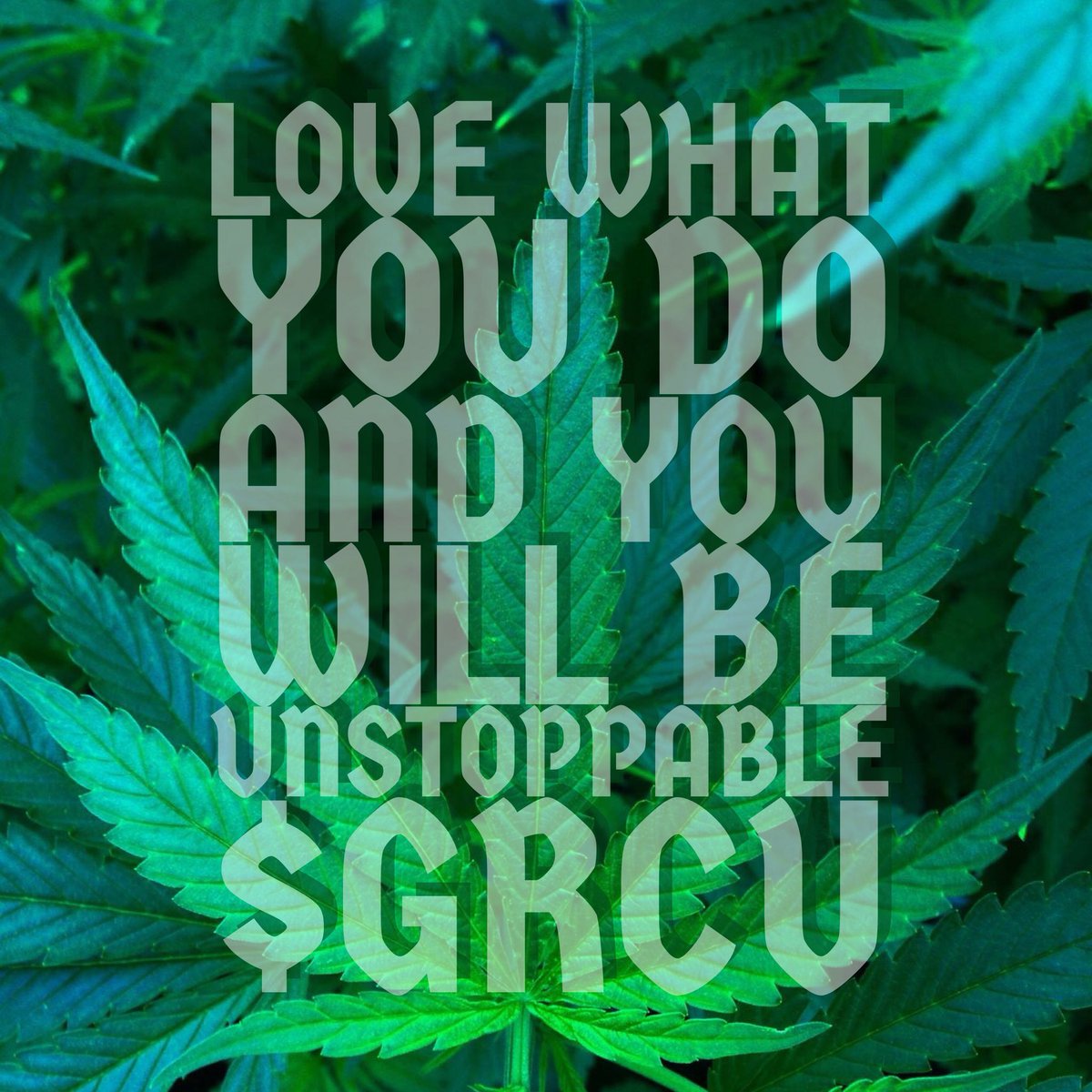 GreenCuresCorp's tweet image. @GRCUStock @GreenCuresGRCU #Hemp #medicalmarijuana #cbdoil #cbd #Healthcare #healthandbeauty #hemplife #stocks #StockMarket #stockstowatch