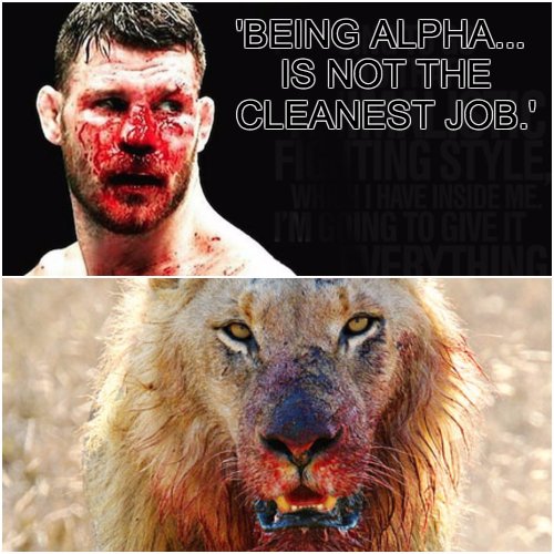 JoeAckers's tweet photo. 'You're all gonna f***ing miss me when I'm gone, sayonara, buddy' 🇬🇧🦁 #bisping #BispingvsGSP #UFC217 #GSPReturns #MMA #UFC #legends #MSG https://t.co/KGXYbQBE60