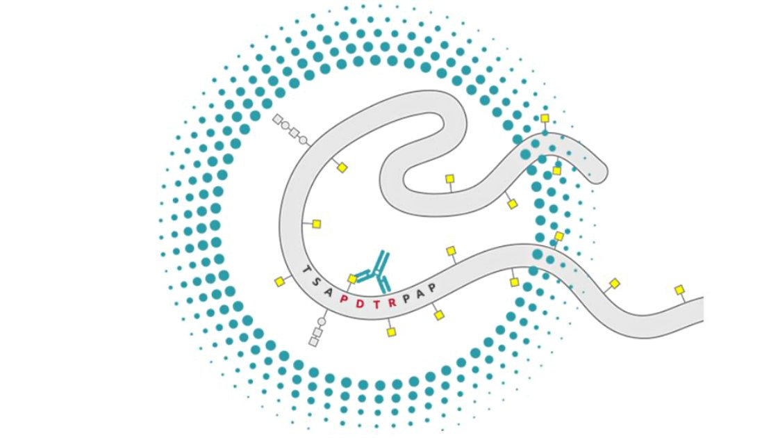 transkriptde's tweet photo. #Glycotope verkauft Produktionsanlage an #Celonic:
https://t.co/7LkGWT0qEq https://t.co/YJunjlvWQE