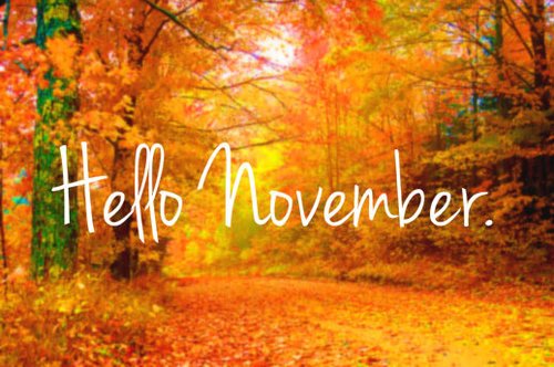 AFSJanitorial's tweet photo. First Friday of #November #Fall https://t.co/z8JoXnSkLF
