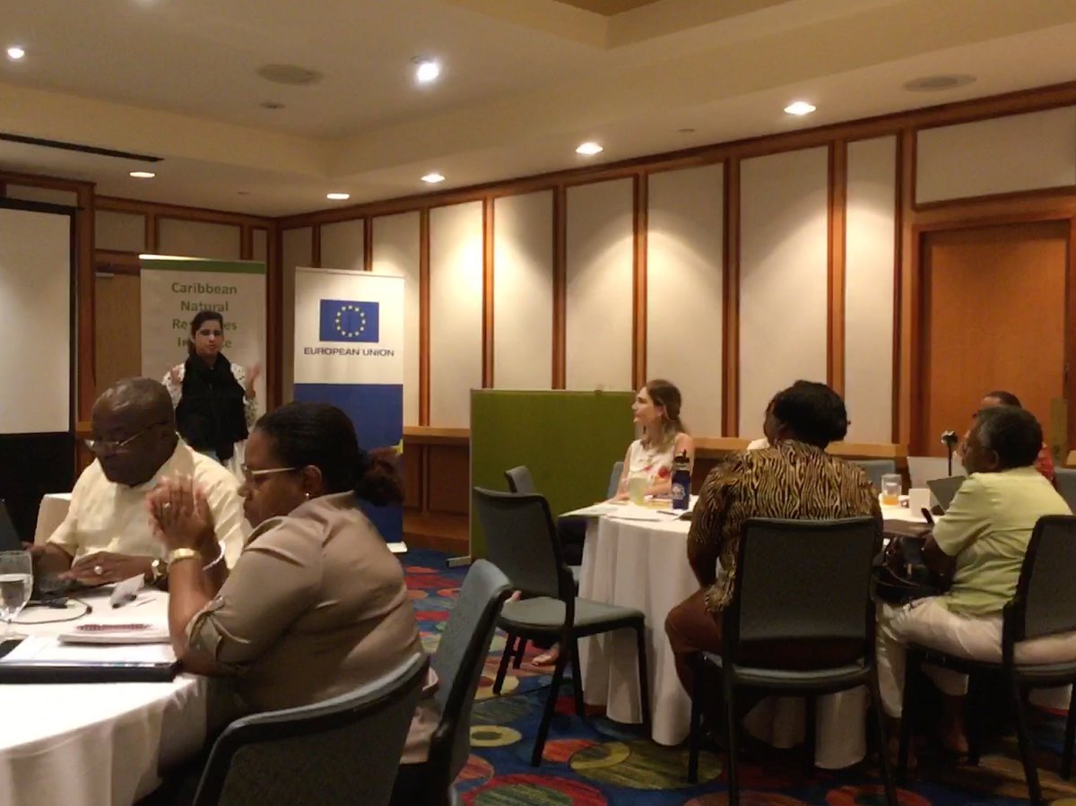 Kanika Verma, champion of MSMEs sharing insights on how local #green #enterprises can use #microfinance opportunities |#GreenGM17 #GEVoices