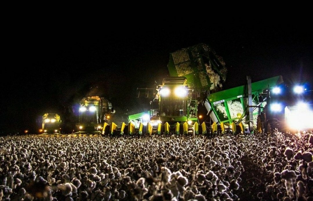 weClubb's tweet image. Recolección nocturna de algodón o #festival?
#MareNostrum #valencia #fiesta #weClubb