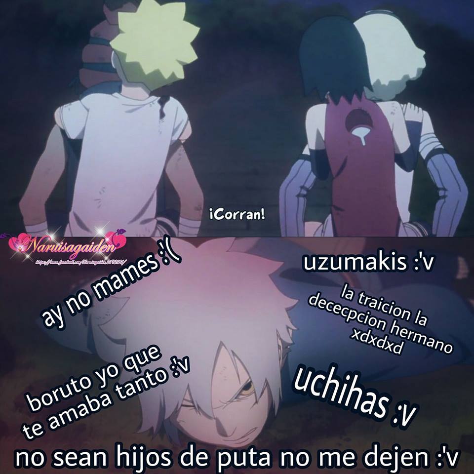 :'v