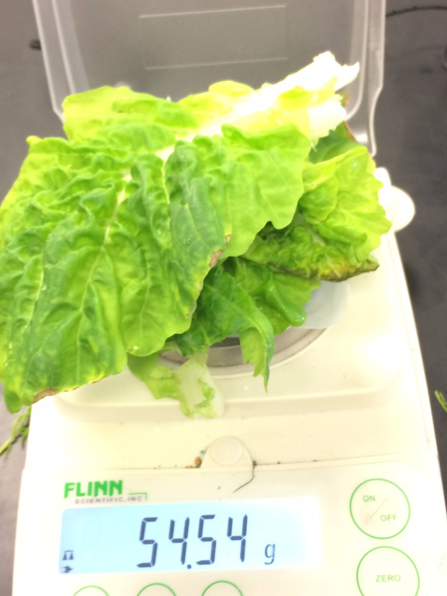 Week 5 of <a href="/GrowBeyondEarth/">Growing Beyond EarthⓇ</a>! We've harvested the plants!!!