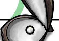 新しい秘密公開しました!File.70 あこや貝に真珠を入れる仕事ついに貝にまで手を出してしまった・・・貝 #真珠 #Shellfish #水族館 #Aquarium #秘密のお仕事 #拡散希望 