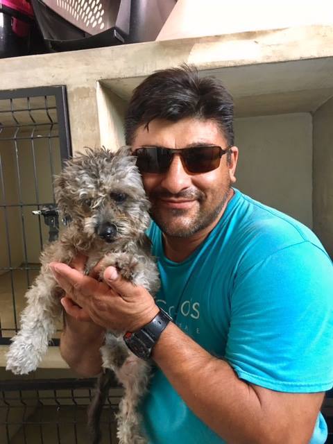 Available for Adoption: Sofie allhumanekind.com/sofie/