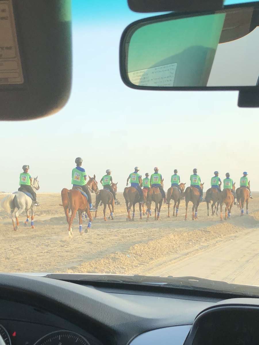 LitMattersbh's tweet photo. And they’re off! #endurancebh #breef #bahrain https://t.co/lPxENsPt8w