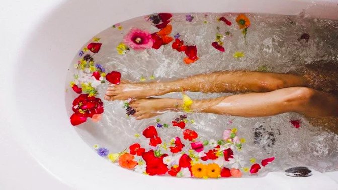 Charlottes Book tweet media