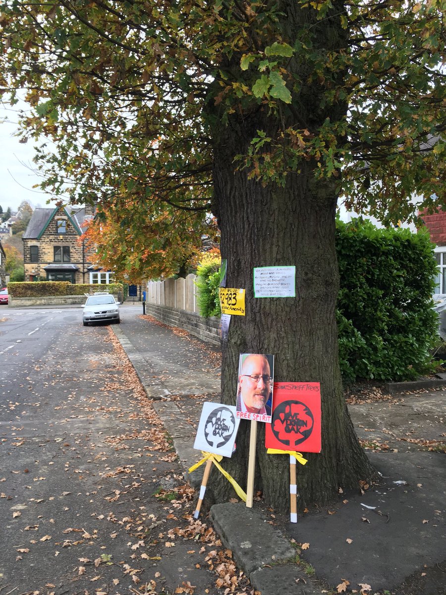 sj_unwin's tweet photo. Free Spirit @calvinmarkpayne #StandWithCalvin #StandWithVernon #SaveSheffTrees https://t.co/q5EndKeE8h
