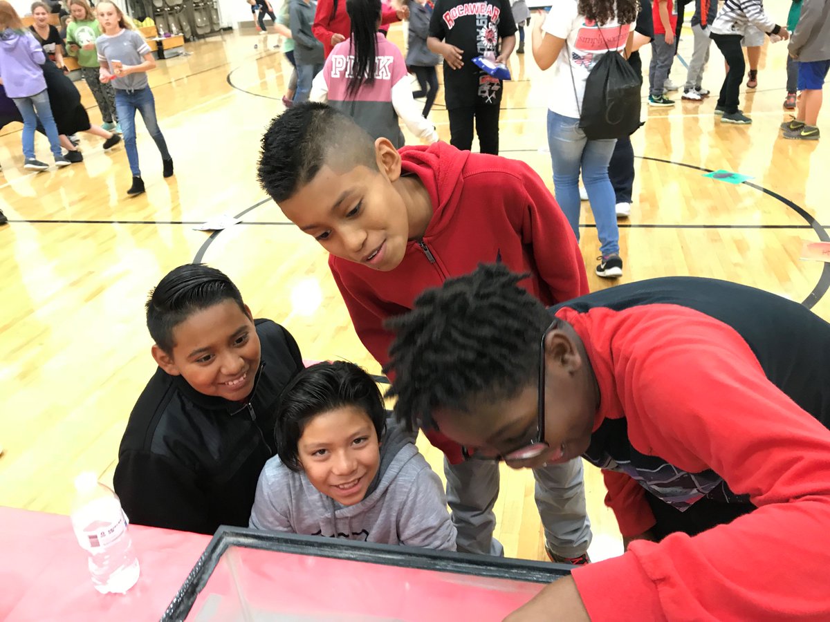 WMSWolfpack's tweet photo. Pack Carnival Fun!! @wsfcs @PBISRewards #postivebehavior https://t.co/6wr0YoOPbx