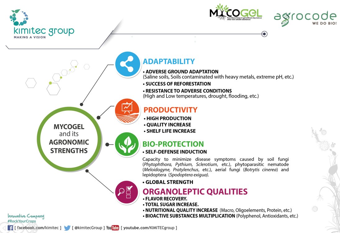 KimitecGroup's tweet photo. Mycogel is the only #mycorrhizal inoculant, sterile, in gel and produced in vitro https://t.co/IBSNMHmza5 https://t.co/EEBhZw1Dxr