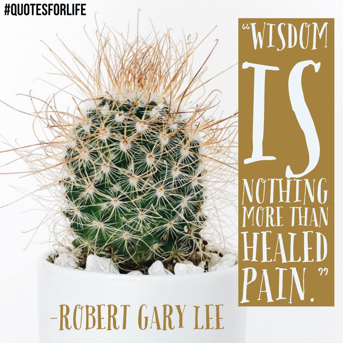 The_Quotes4Life's tweet photo. “Wisdom is nothing more than healed pain.” – Robert Gary Lee
Read more at: https://t.co/46x0cXMVYY
#QuotesforLife #RobertGaryLee https://t.co/WWi3A8PZCI