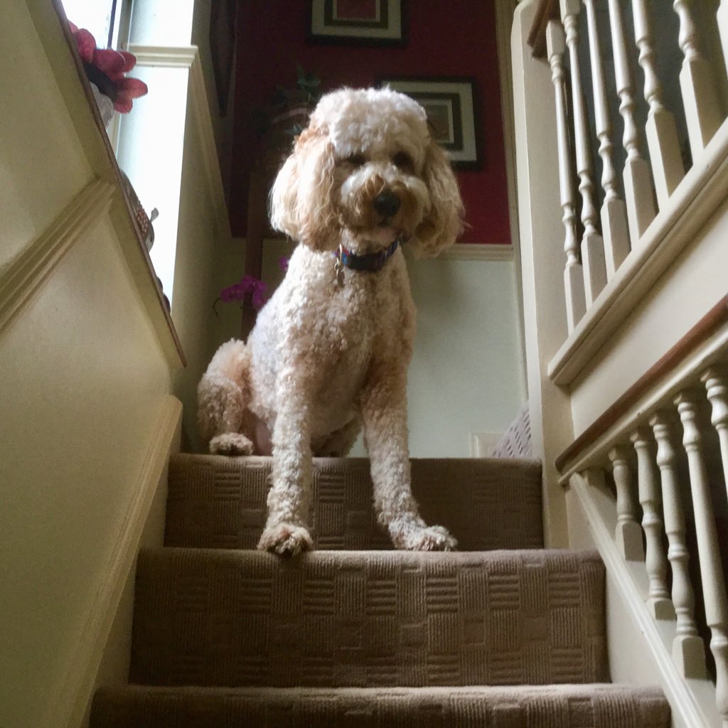 ludoodle's tweet photo. #NewProfilePic https://t.co/nrjWdP1UF5