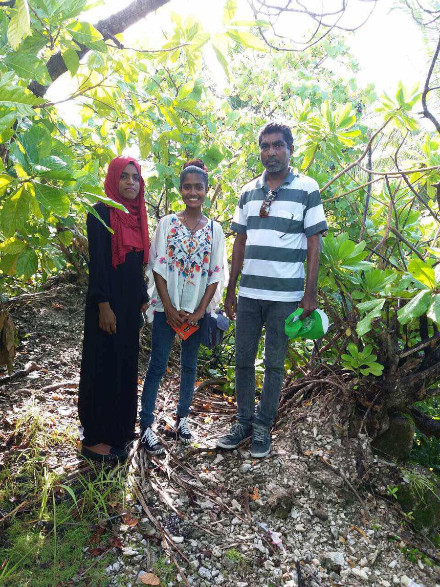 MBDCouncil's tweet photo. Knowledge exchange session held with #Koaru #Project #StudyTour participants to document the information &amp; experiences #mangroves #SDGs https://t.co/RoIx6AbAgG
