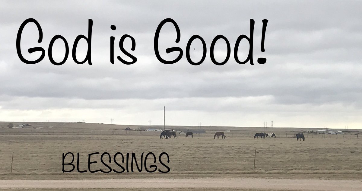 bechensthriving's tweet photo. https://t.co/7ybpCvL0pA
